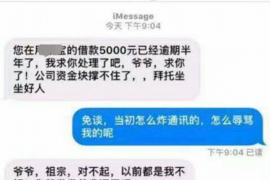 瑞安瑞安的要账公司在催收过程中的策略和技巧有哪些？